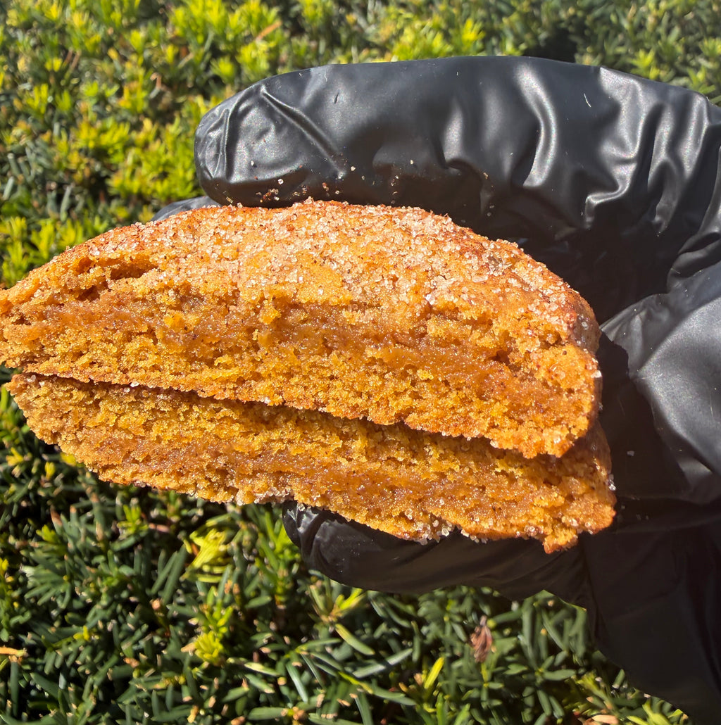 Pumpkin Cinnamon Cookie 🎃